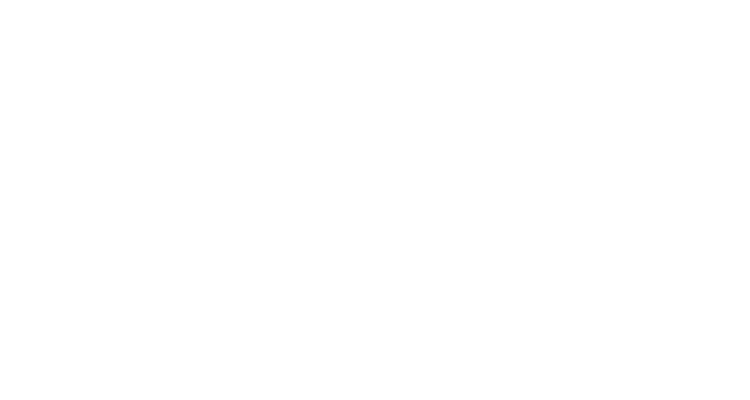 Lake Marion Animal Hospital