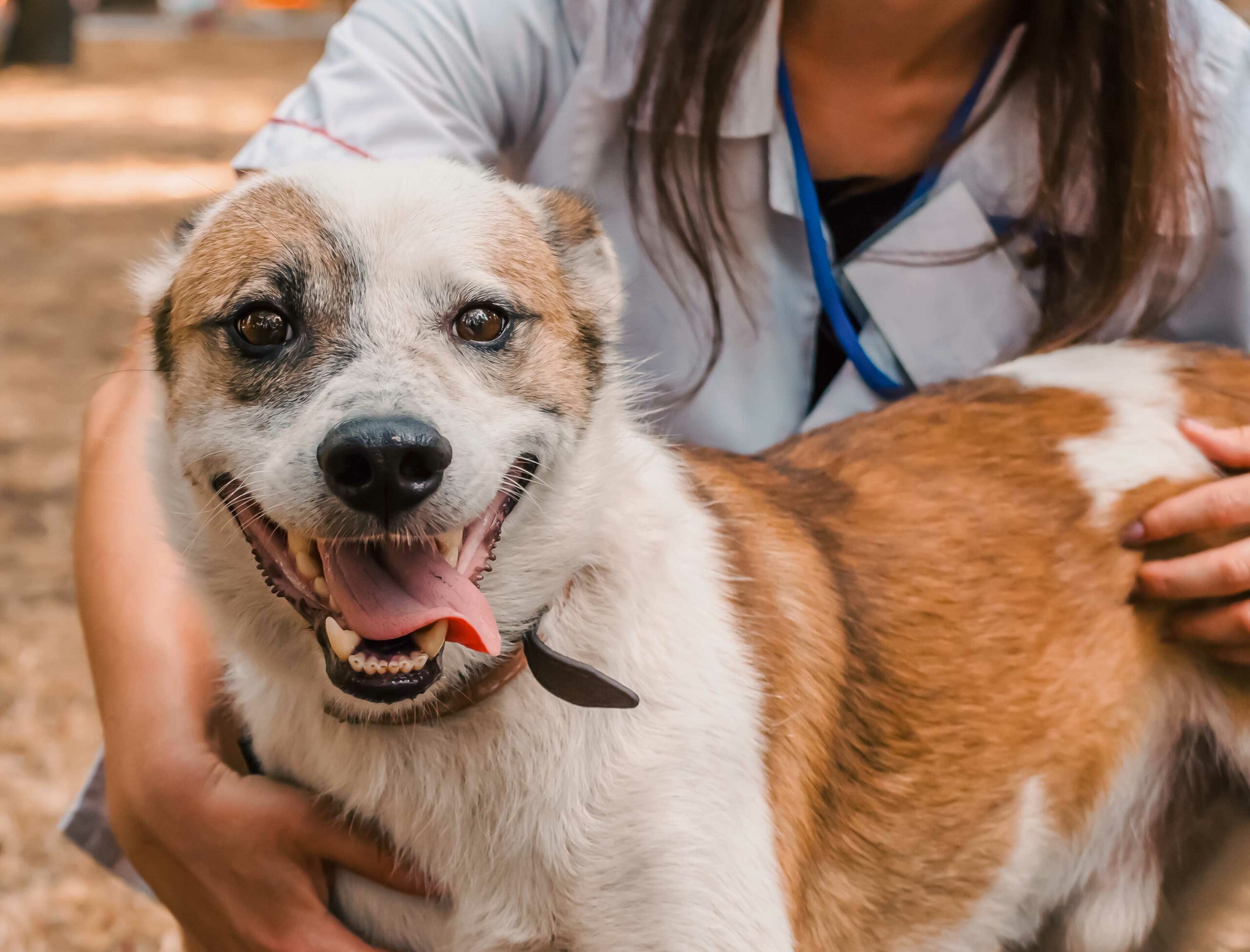 Preventive & Wellness Care