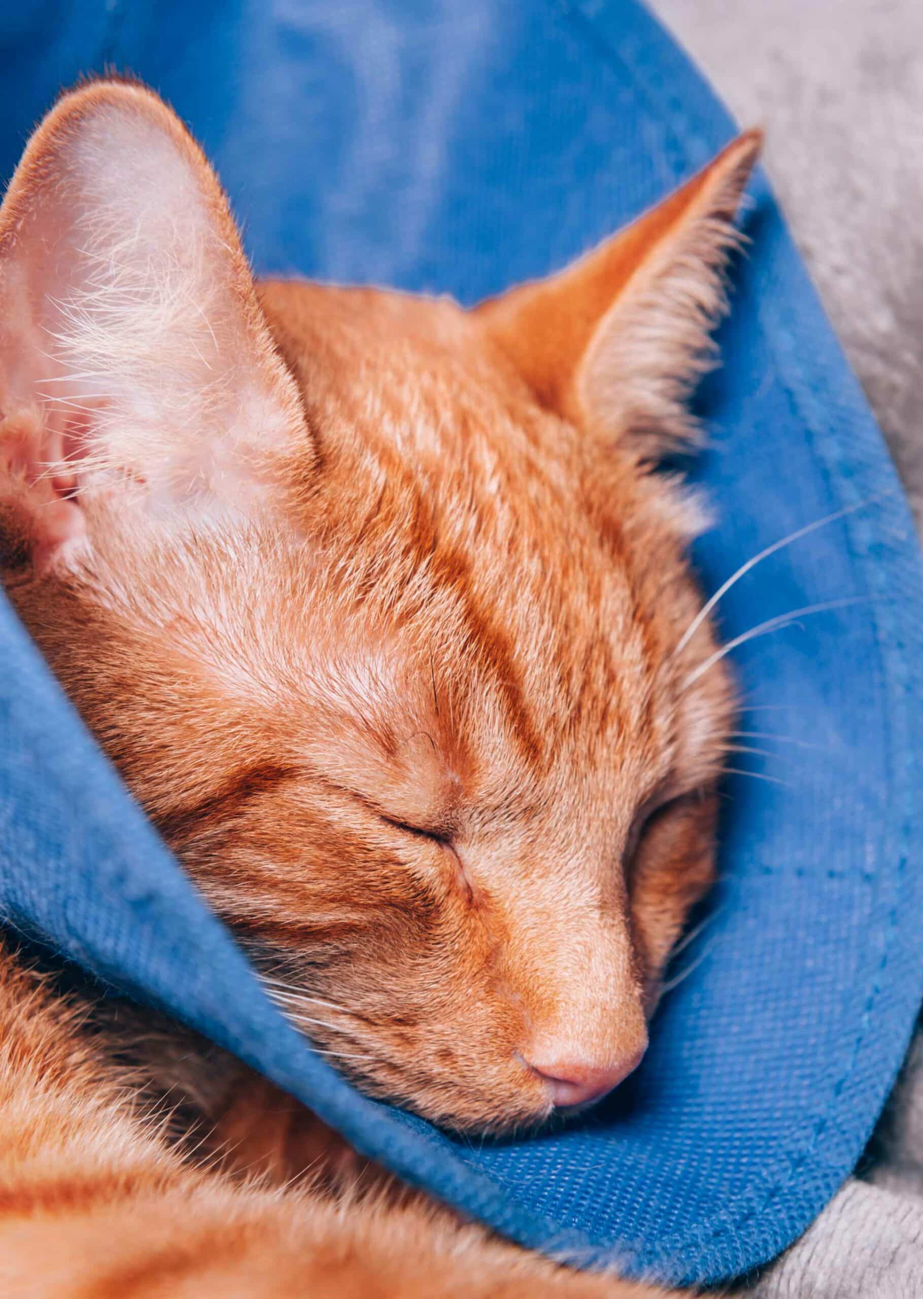 What to Expect Before, During and After Surgery